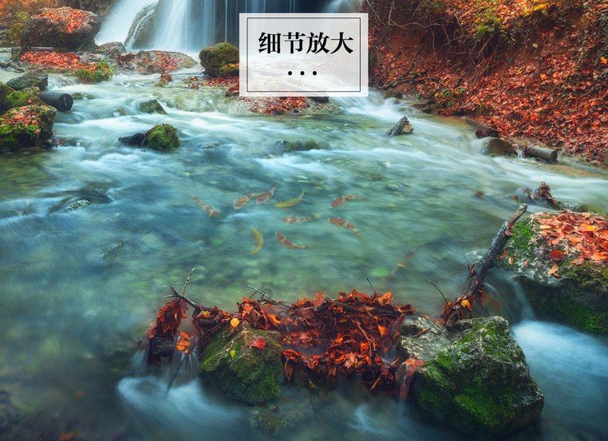 免签“朋友圈”再扩容 ！春节假期“新马泰”走起！